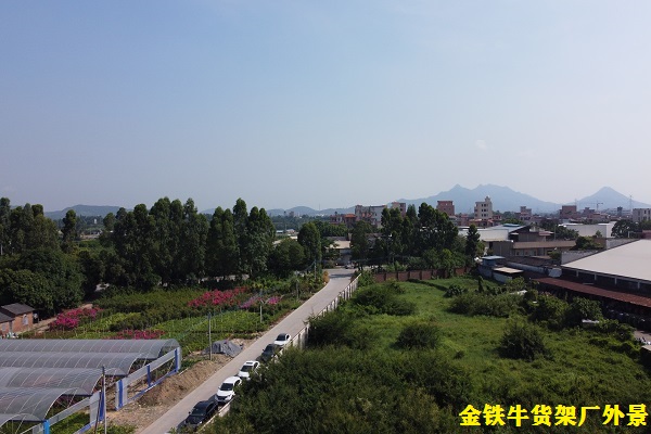 廣東金鐵牛 廣東金鐵牛